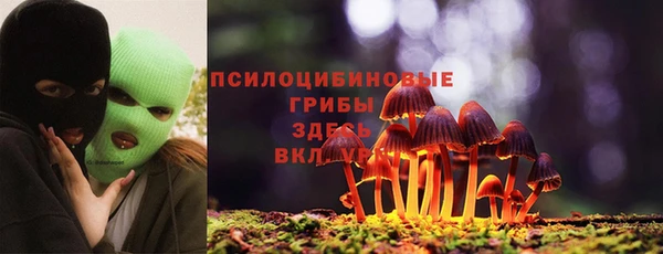 mix Иннополис