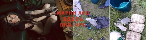кокс Инсар